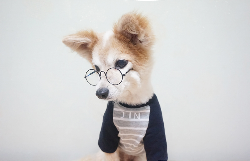 NEW DOG FASHION Doggie Handmade Clothes Dog Garmen