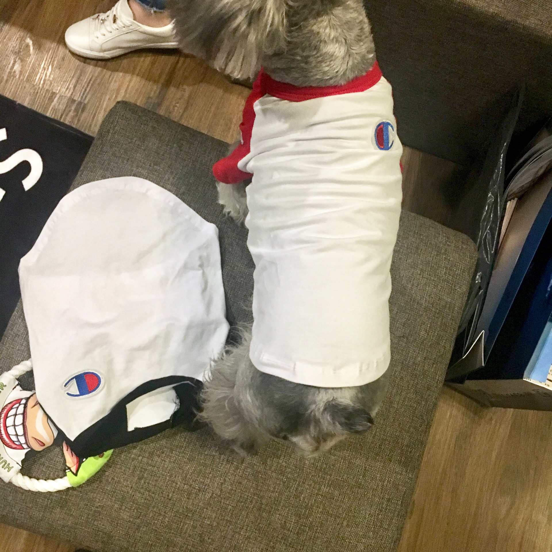 NEW DOG FASHION champion st puppy clothes cat clot