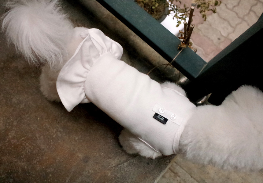 NEW DOG FASHION DOG Dog Dog Dress Button