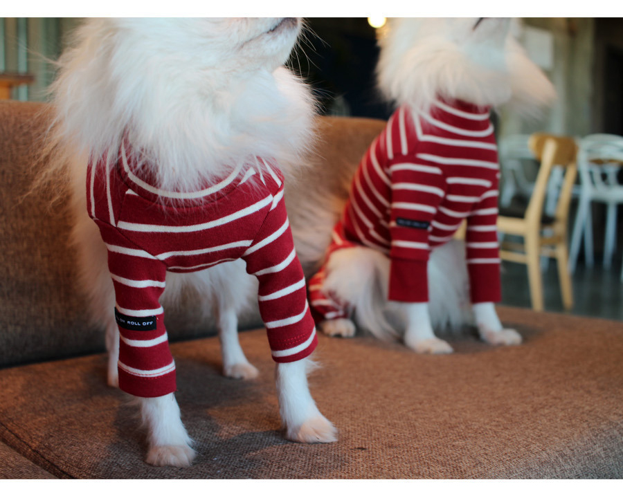 NEW DOG FASHION Lolo Dog Puppy Clothes Beige Sprit