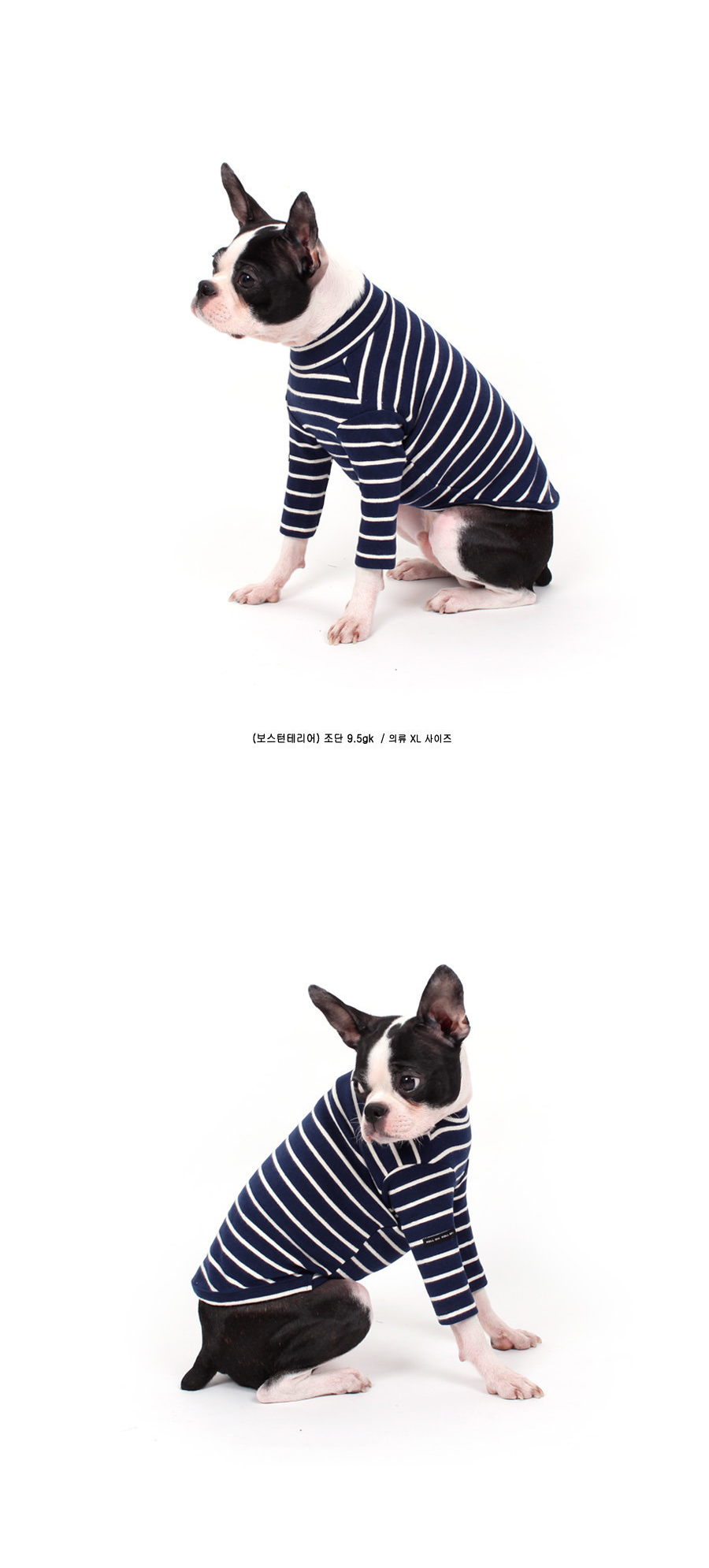 NEW DOG FASHION Lolo Dog Puppy Clothes Beige Sprit