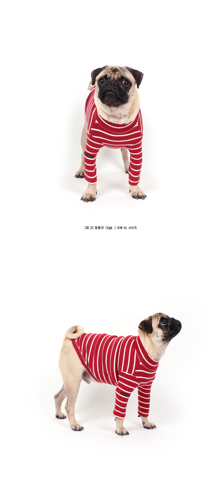 NEW DOG FASHION Lolo Dog Puppy Clothes Beige Sprit