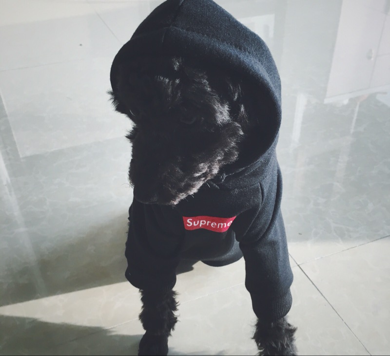 NEW DOG FASHION Supreme ST hooded dog clothes dog 