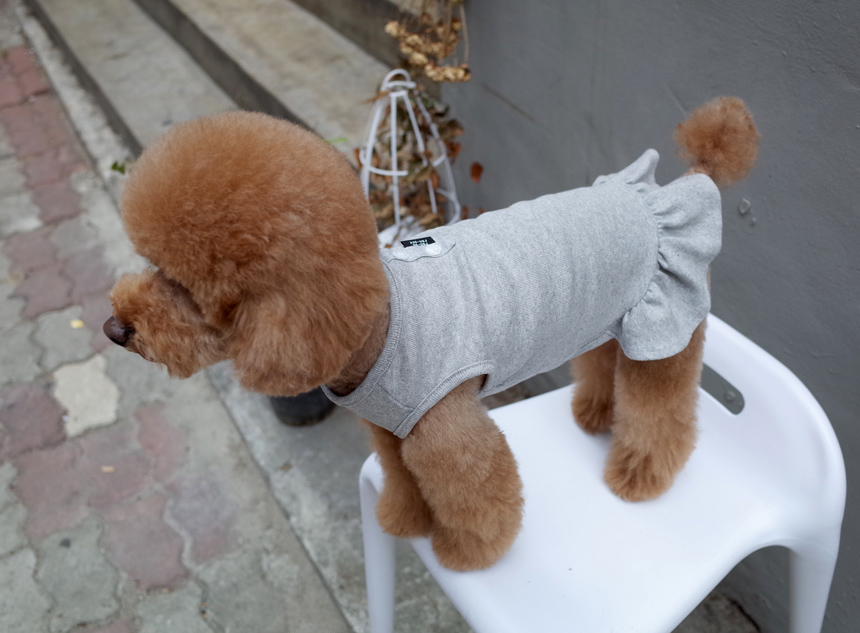 NEW DOG FASHION DOG Dog Dog Dress Button