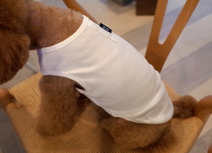 NEW DOG FASHION DOG Dog Dog Dress Button