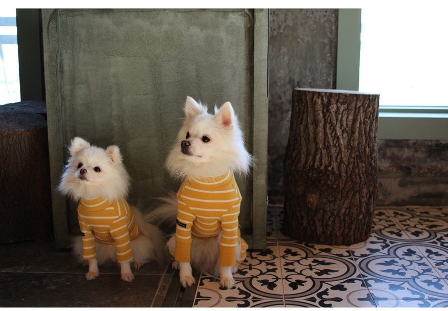 NEW DOG FASHION Lolo Dog Puppy Clothes Beige Sprit