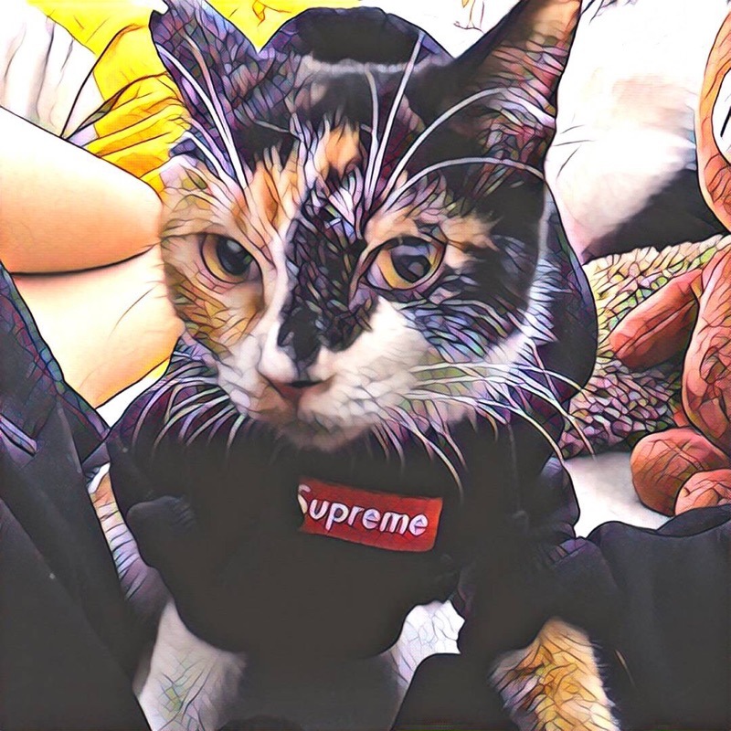 NEW DOG FASHION Supreme ST hooded dog clothes dog 