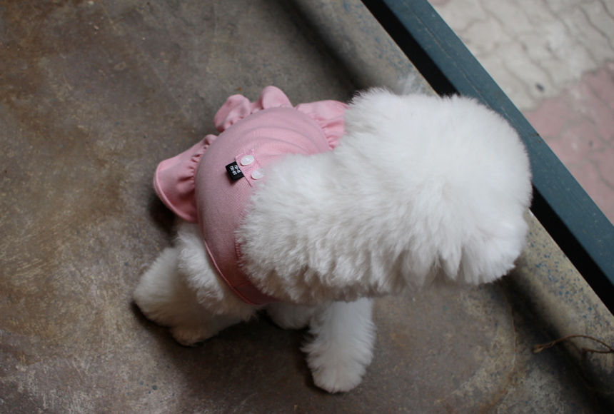 NEW DOG FASHION DOG Dog Dog Dress Button