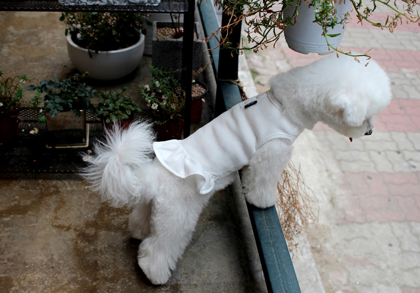 NEW DOG FASHION DOG Dog Dog Dress Button