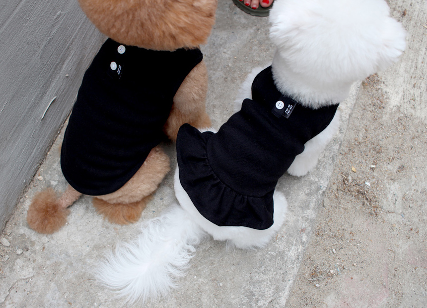 NEW DOG FASHION DOG Dog Dog Dress Button