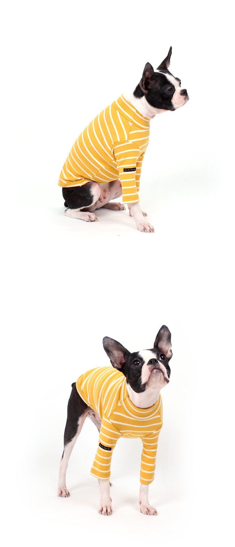 NEW DOG FASHION Lolo Dog Puppy Clothes Beige Sprit