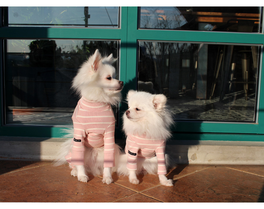 NEW DOG FASHION Lolo Dog Puppy Clothes Beige Sprit