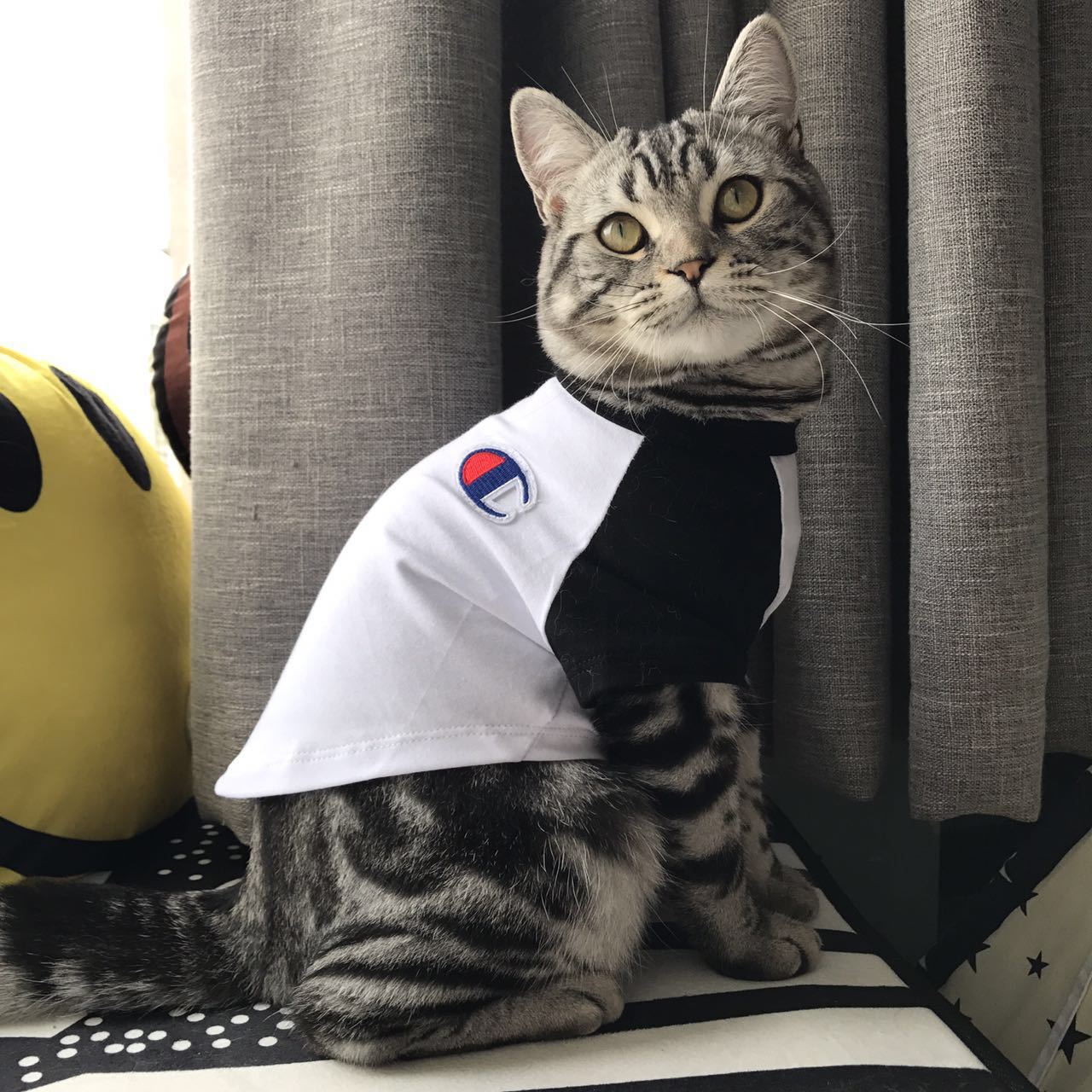 NEW DOG FASHION champion st puppy clothes cat clot