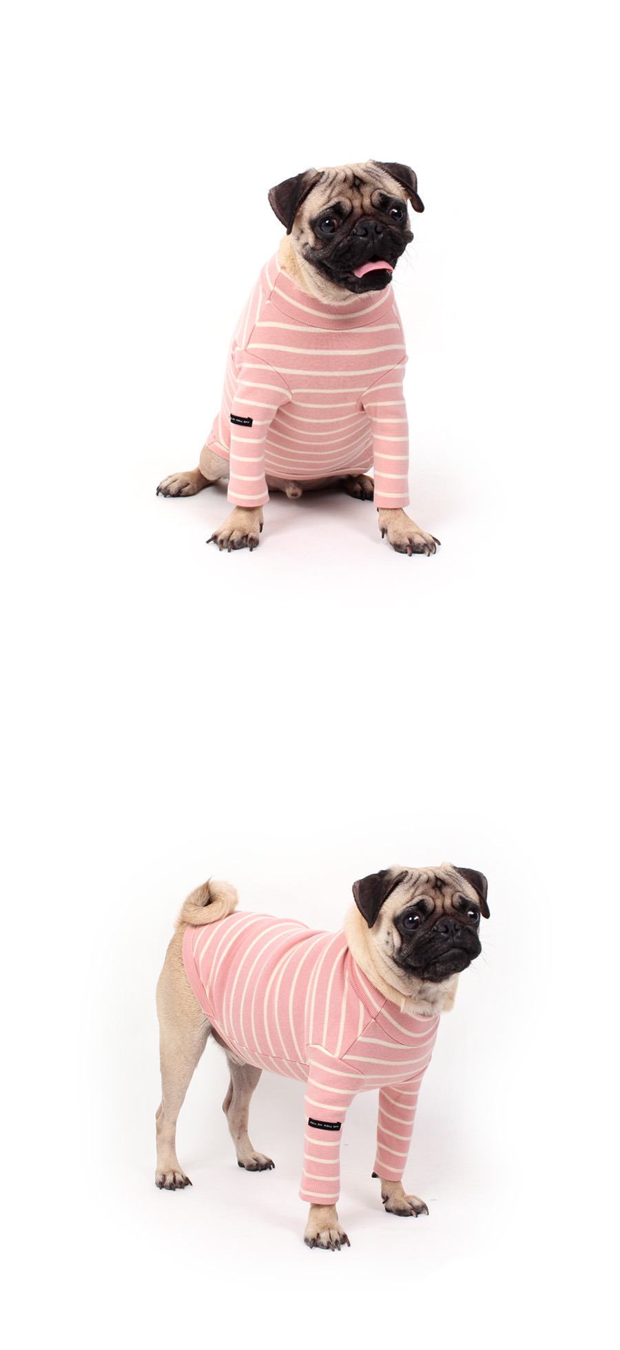 NEW DOG FASHION Lolo Dog Puppy Clothes Beige Sprit