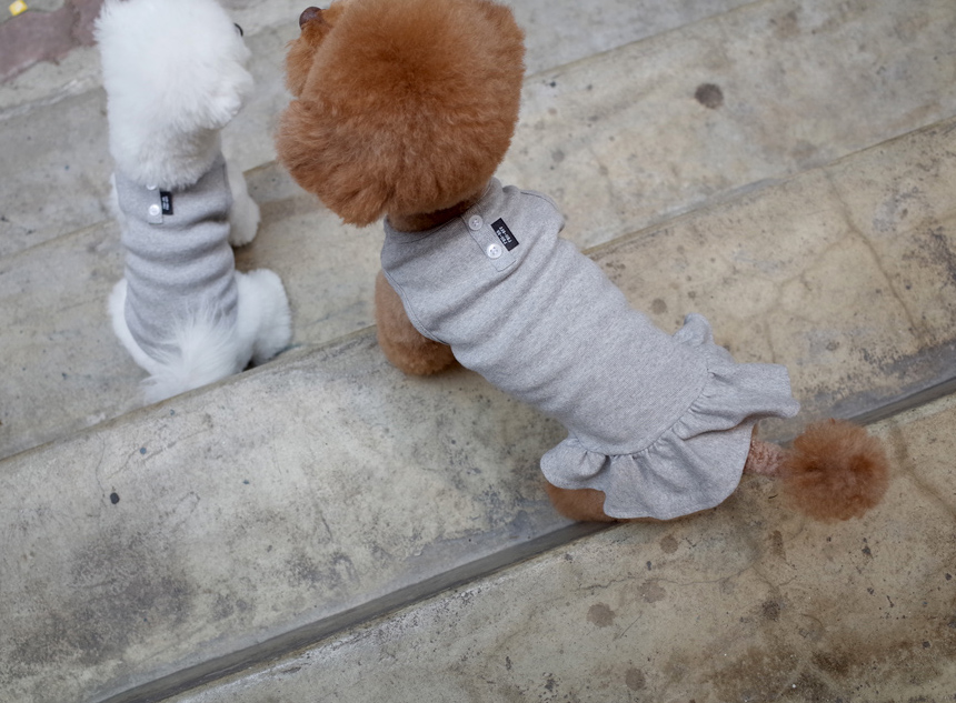 NEW DOG FASHION DOG Dog Dog Dress Button
