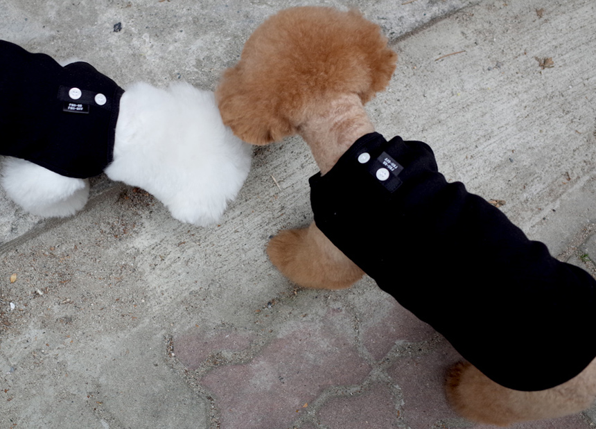 NEW DOG FASHION DOG Dog Dog Dress Button