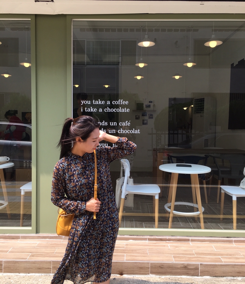 Fall Chiffon Shisu Flower China Neck Long Dress _ 