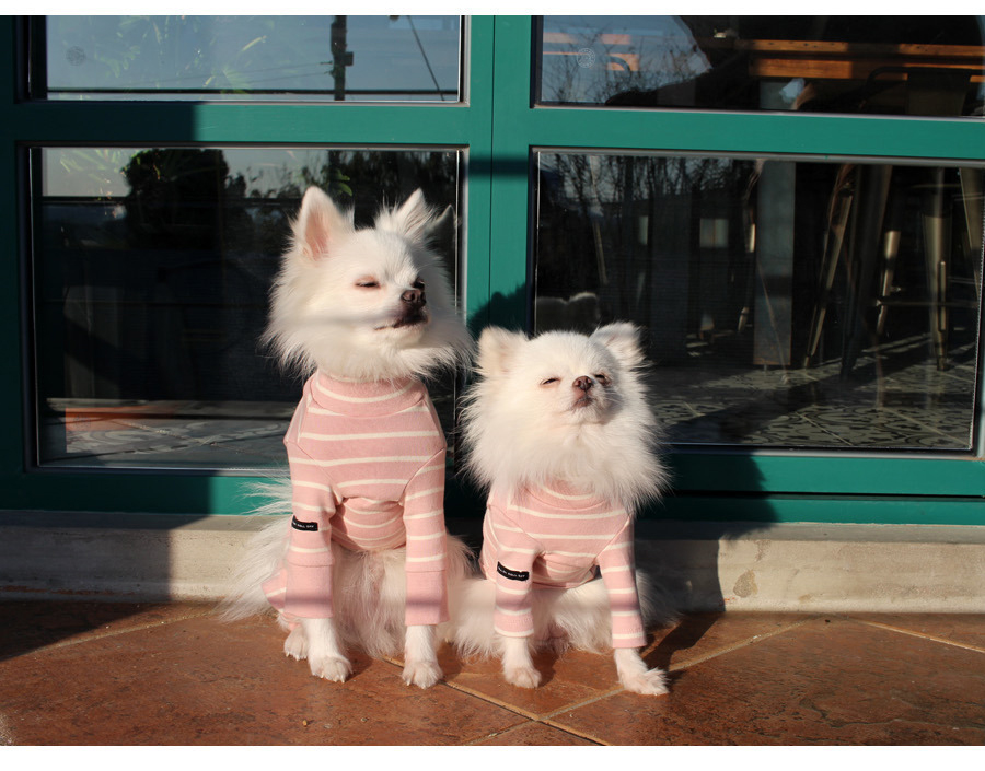 NEW DOG FASHION Lolo Dog Puppy Clothes Beige Sprit