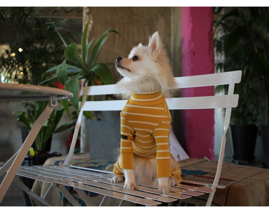 NEW DOG FASHION Lolo Dog Puppy Clothes Beige Sprit