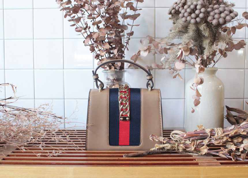 New Chain Silvy Bag Mini Cross Bag 4color Daily Ba