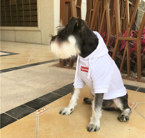 NEW DOG FASHION Supreme ST hooded dog clothes dog 