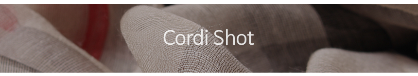 Wool silk check scarf woman woman autumn high mama birthday gift modal 30s friends