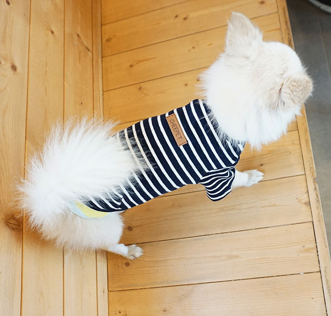 NEW DOG FASHION dog clothes basic T-shirt T-shirt 