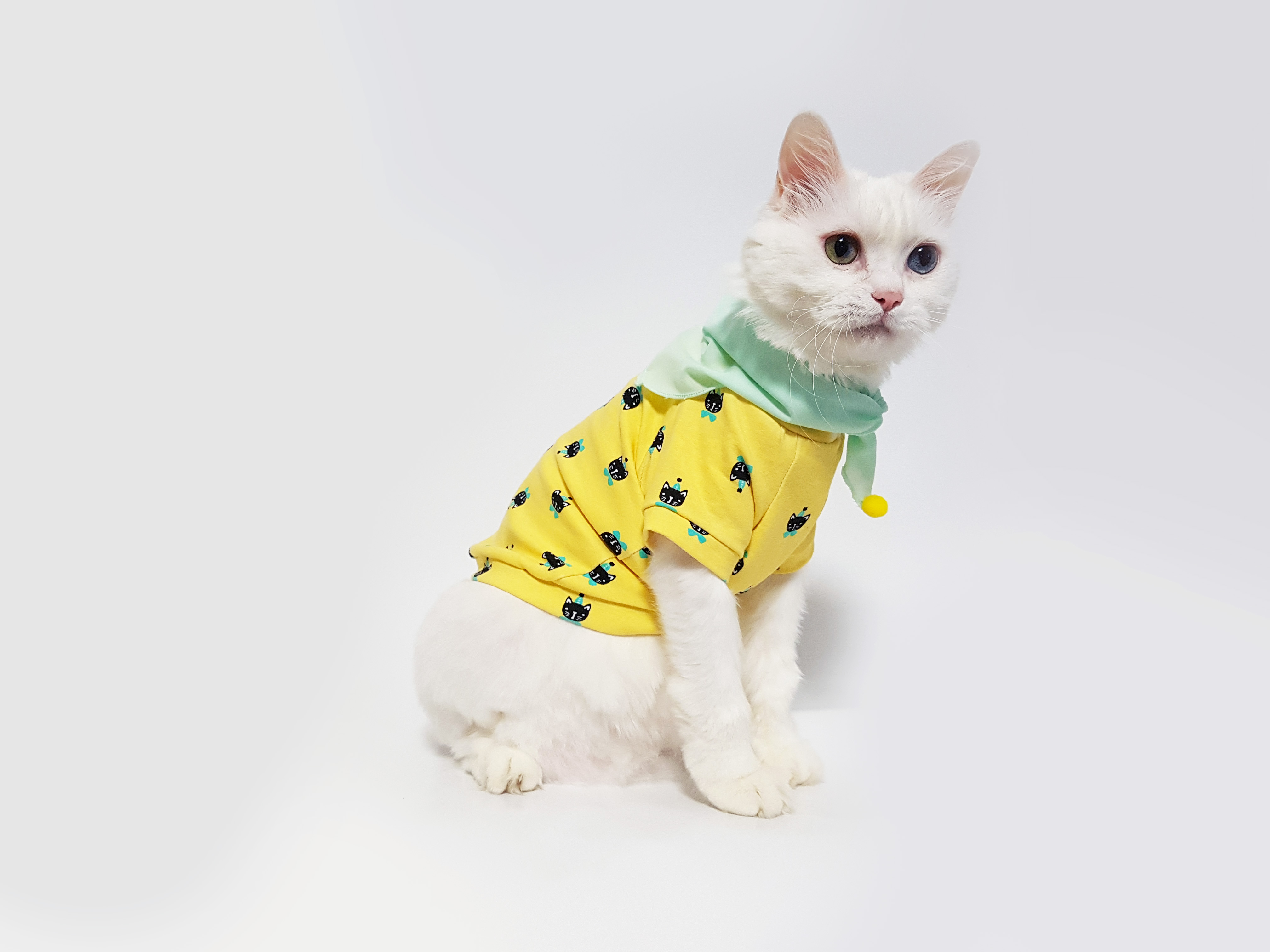 NEW DOG FASHION Cat spat sponge T foam foam scarf 