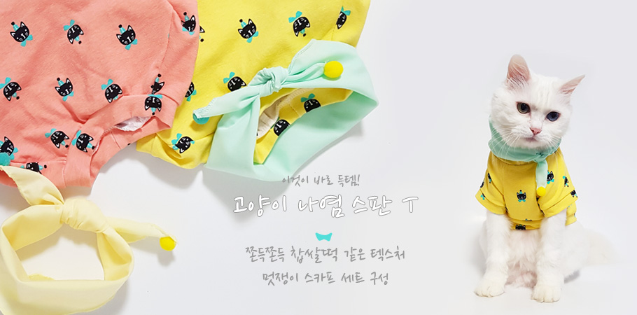 NEW DOG FASHION Cat spat sponge T foam foam scarf 