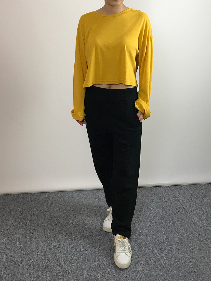 Plain 8800 Basic Crop Long Sleeve Tee 6color Holly