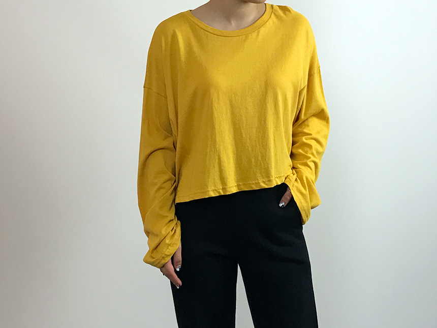 Plain 8800 Basic Crop Long Sleeve Tee 6color Holly