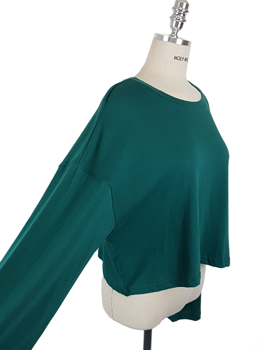 Plain 8800 Basic Crop Long Sleeve Tee 6color Holly