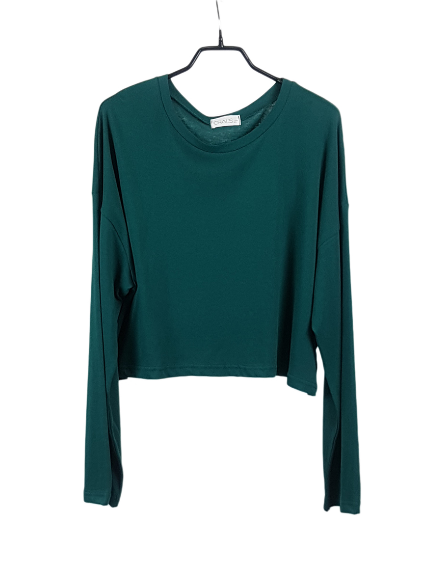 Plain 8800 Basic Crop Long Sleeve Tee 6color Holly