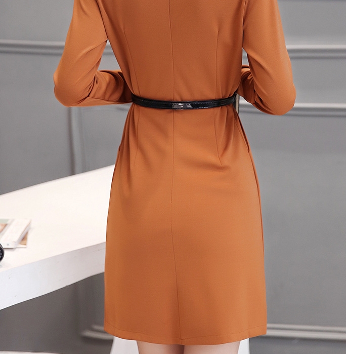 B10156 Autumn Chiffon Dress Elegant One Piece Work