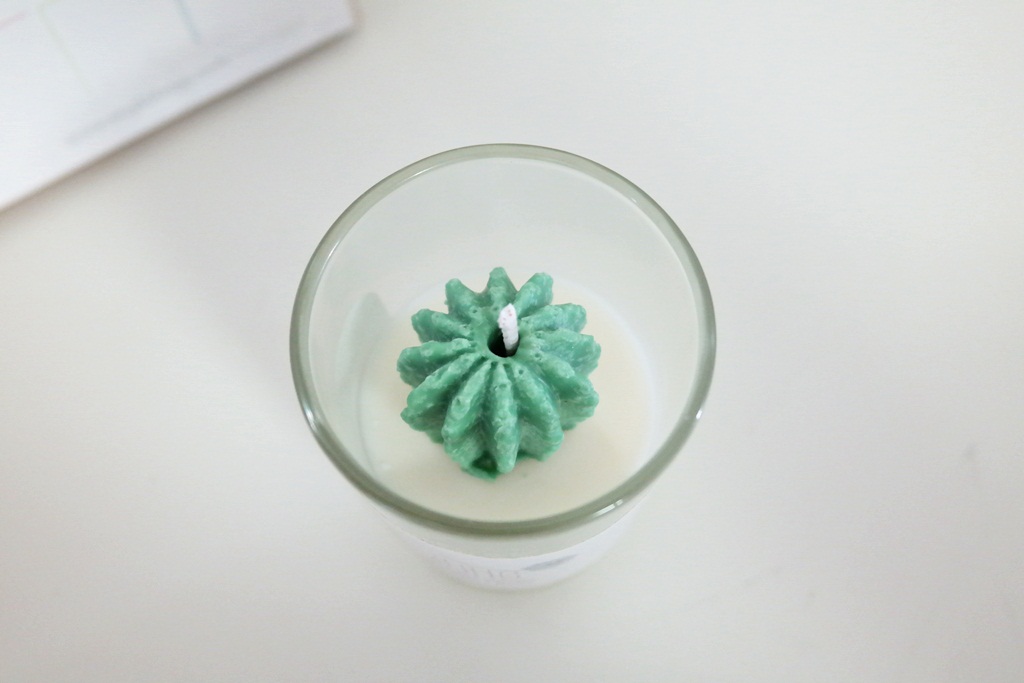 NEW CANDLE Mini Cactus Soy Candle Desk Interior Cu