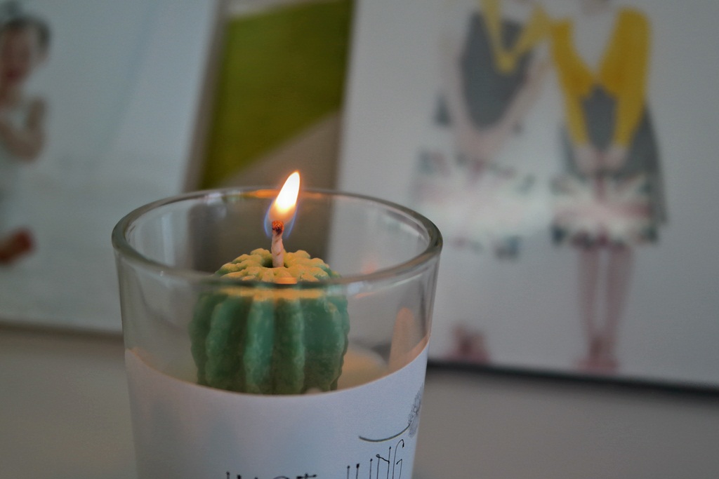 NEW CANDLE Mini Cactus Soy Candle Desk Interior Cu