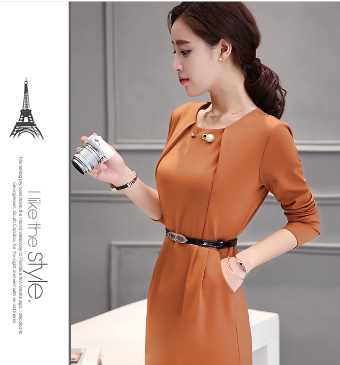 B10156 Autumn Chiffon Dress Elegant One Piece Work