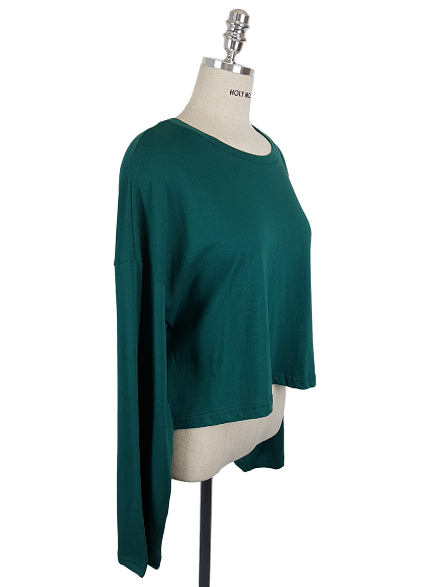 Plain 8800 Basic Crop Long Sleeve Tee 6color Holly