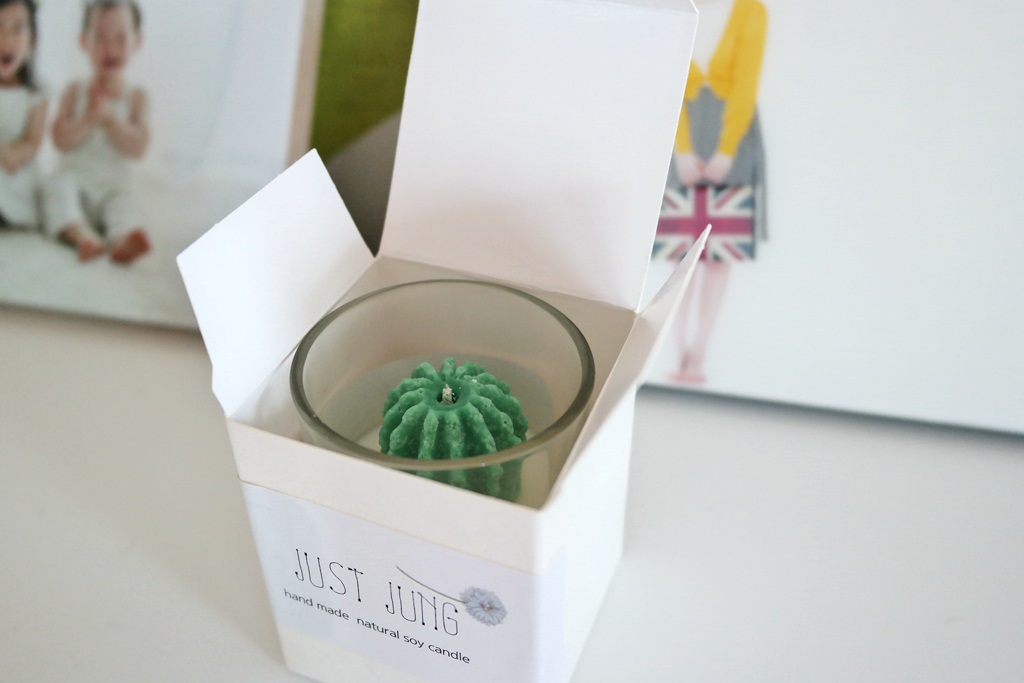 NEW CANDLE Mini Cactus Soy Candle Desk Interior Cu