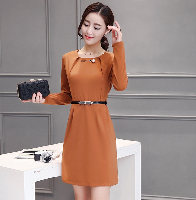 B10156 Autumn Chiffon Dress Elegant One Piece Work