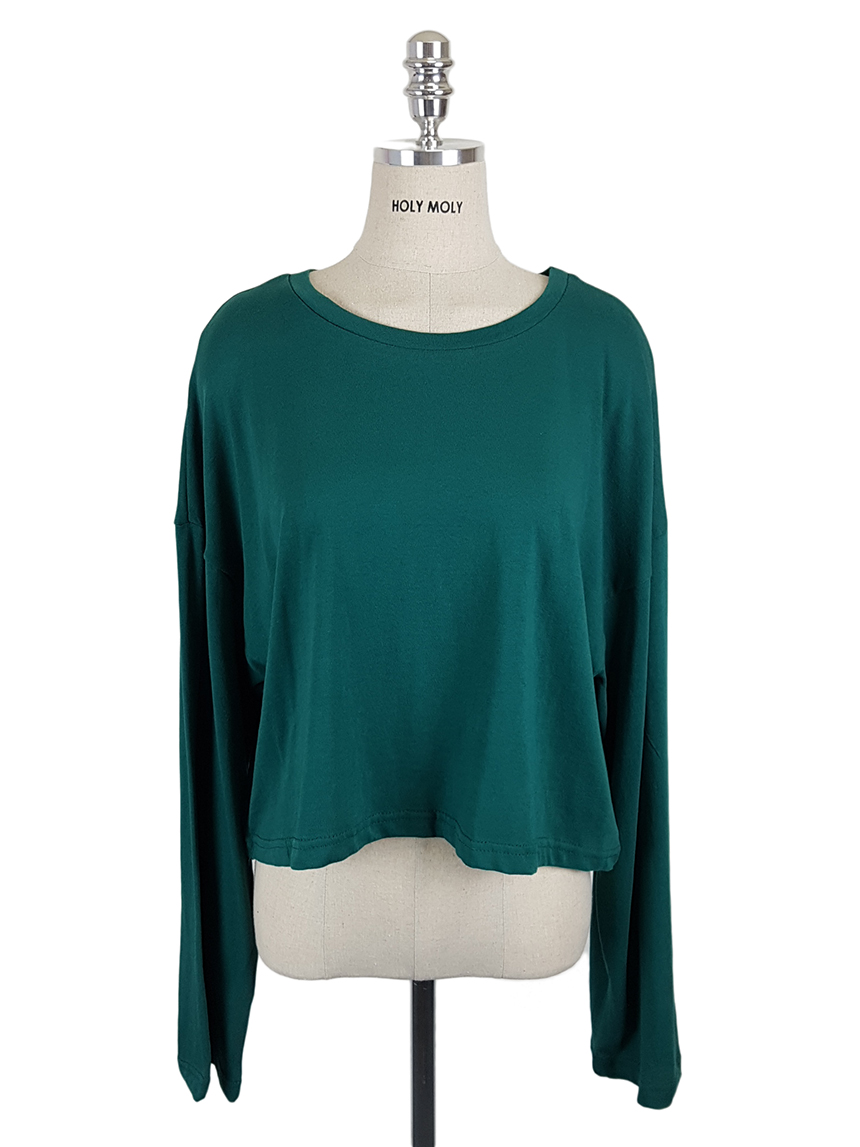Plain 8800 Basic Crop Long Sleeve Tee 6color Holly