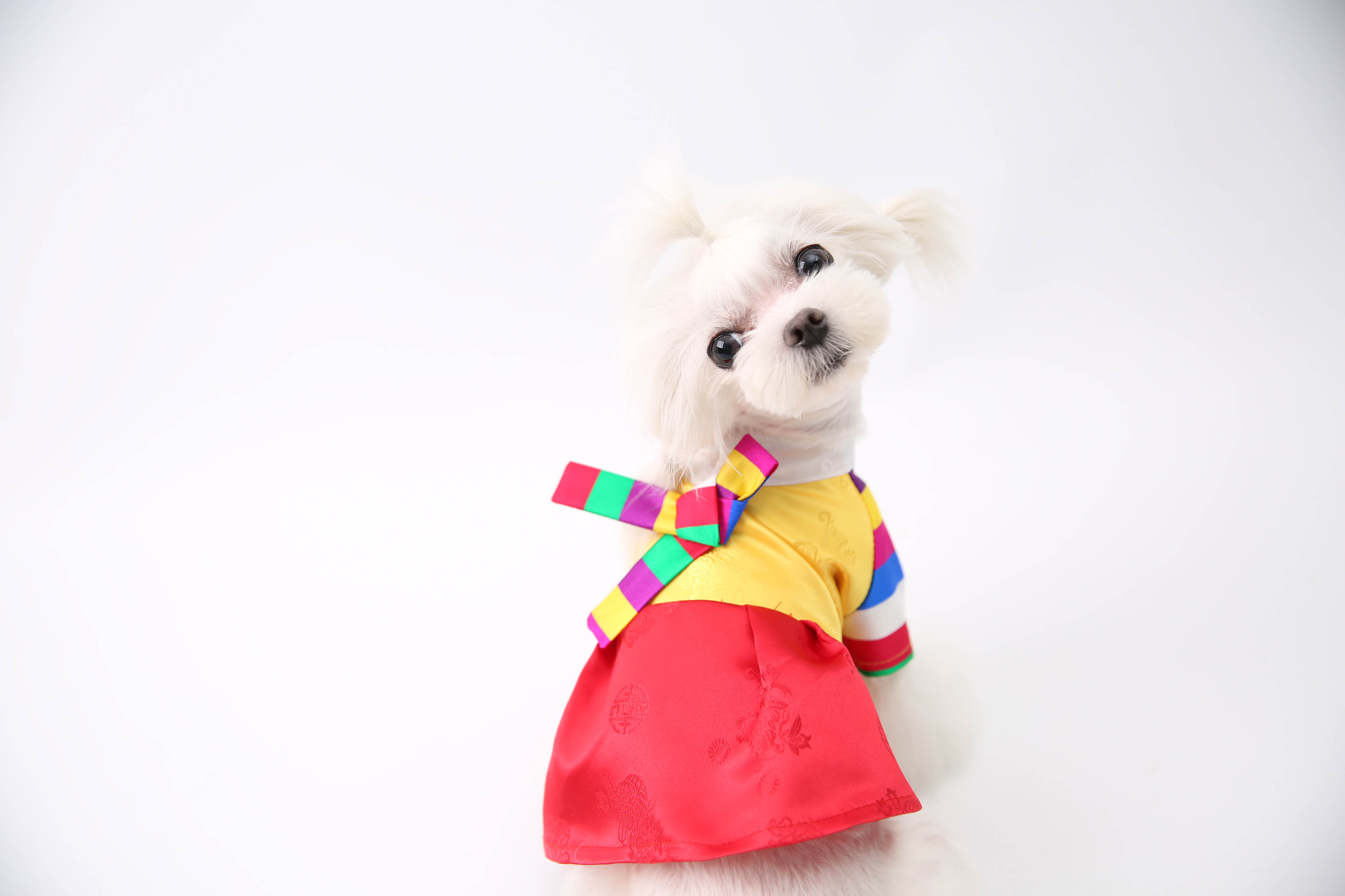 NEW DOG FASHION DOG Puppy Hanbok Dog Dress One-Pie