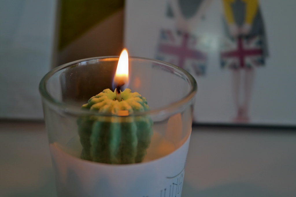 NEW CANDLE Mini Cactus Soy Candle Desk Interior Cu
