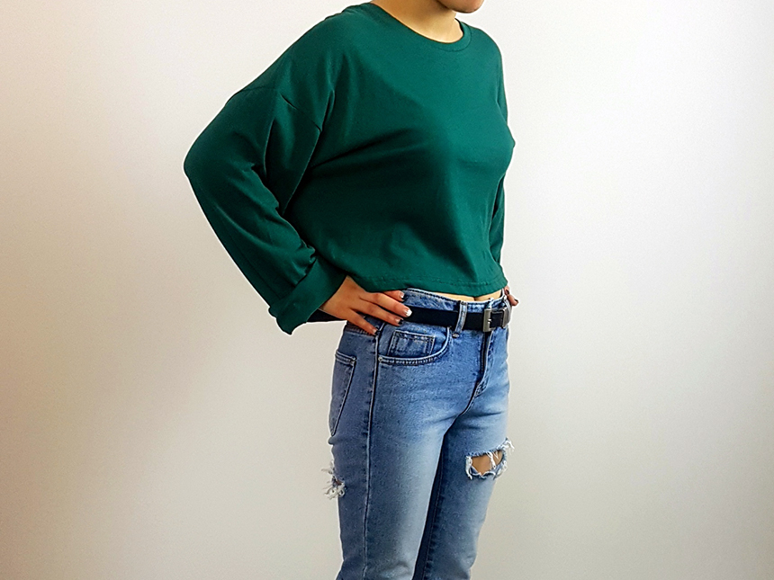 Plain 8800 Basic Crop Long Sleeve Tee 6color Holly
