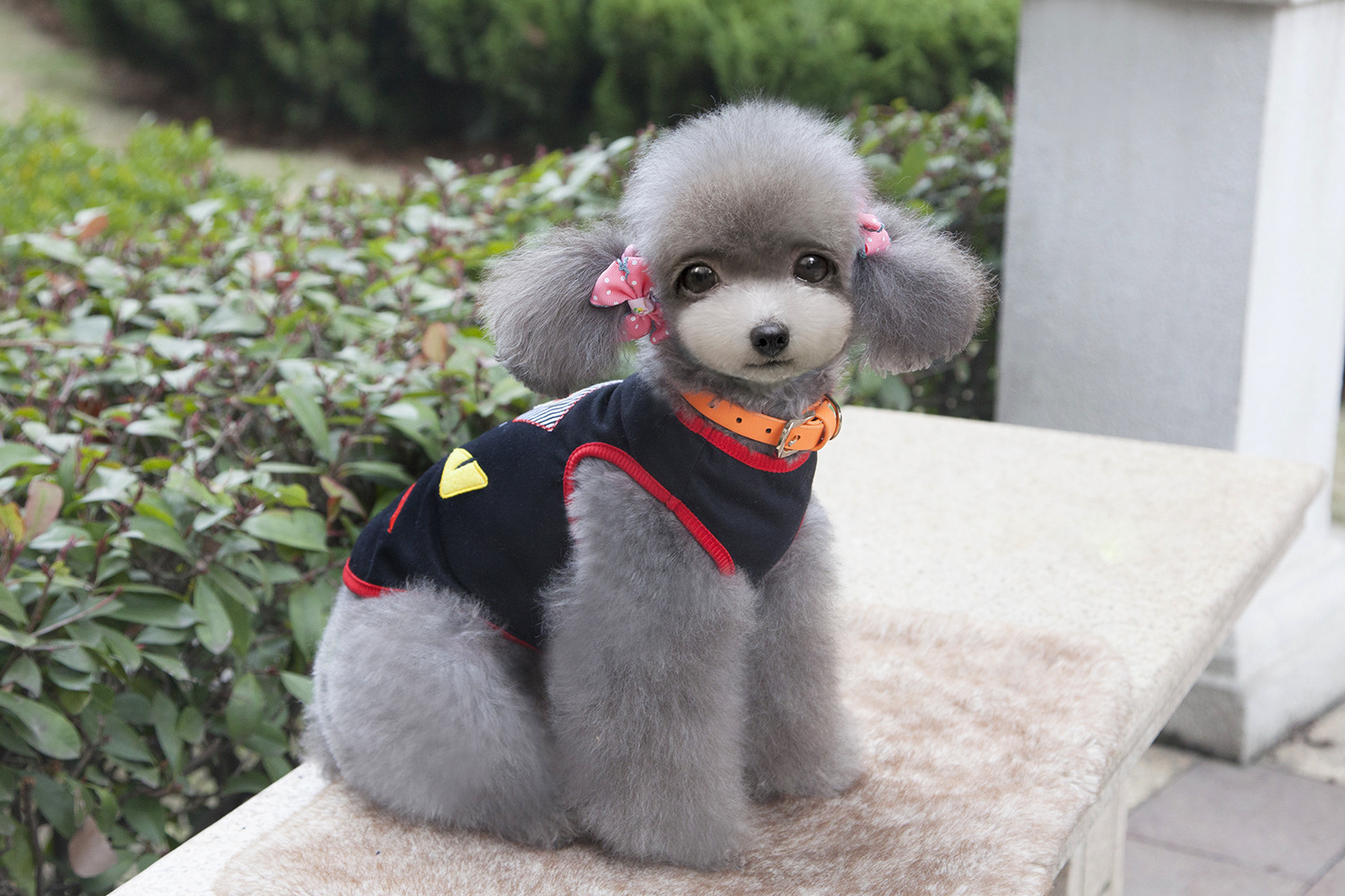 NEW DOG FASHION Character pike Dog clothes Dog clo