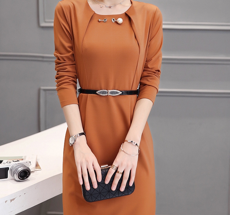B10156 Autumn Chiffon Dress Elegant One Piece Work