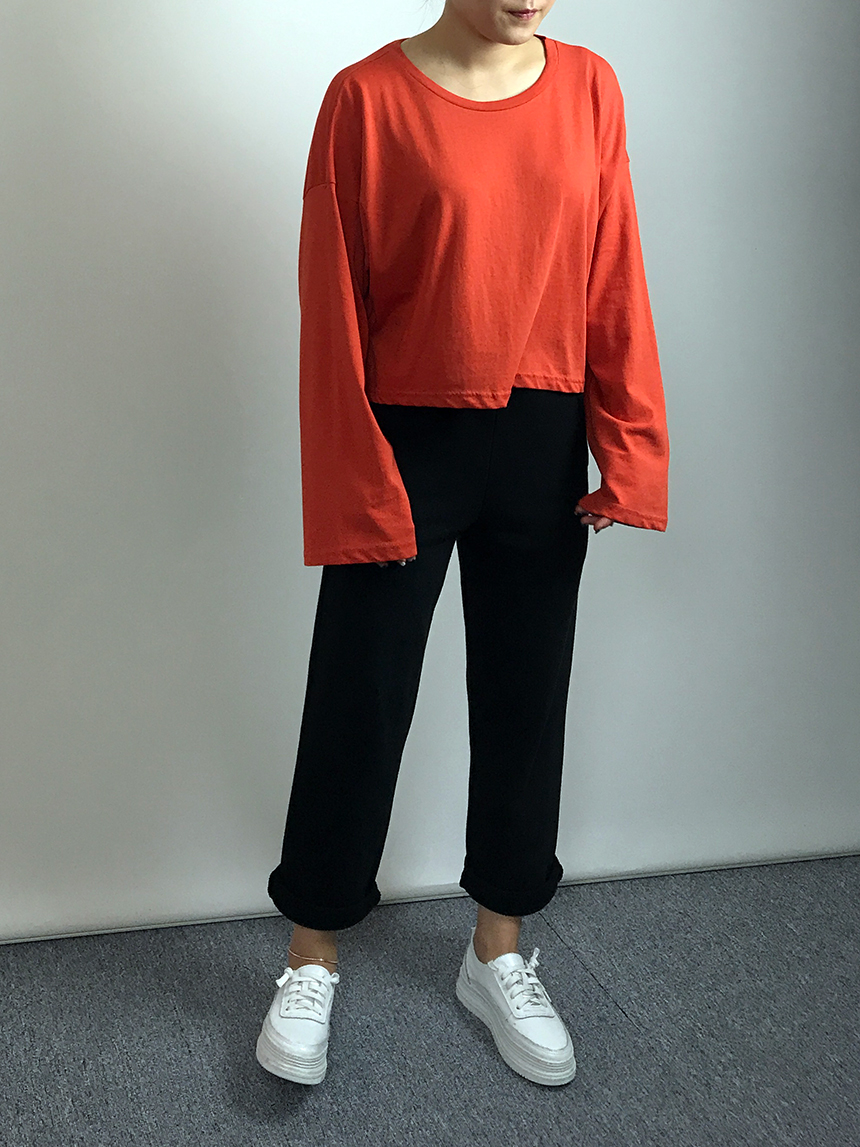 Plain 8800 Basic Crop Long Sleeve Tee 6color Holly