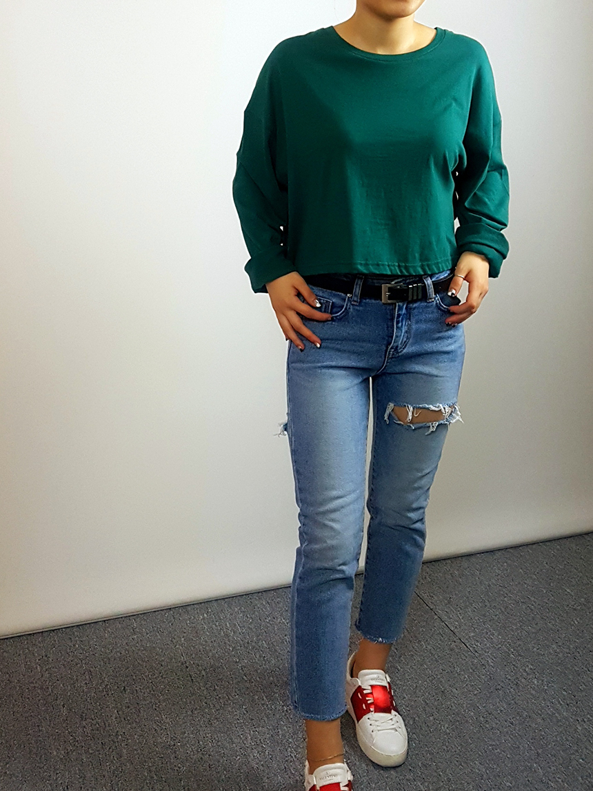 Plain 8800 Basic Crop Long Sleeve Tee 6color Holly