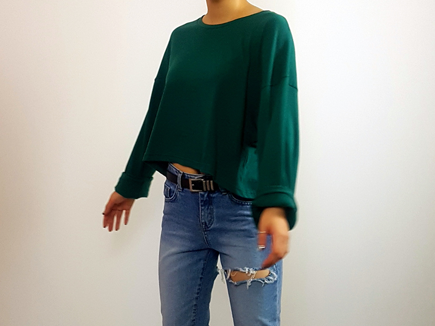 Plain 8800 Basic Crop Long Sleeve Tee 6color Holly