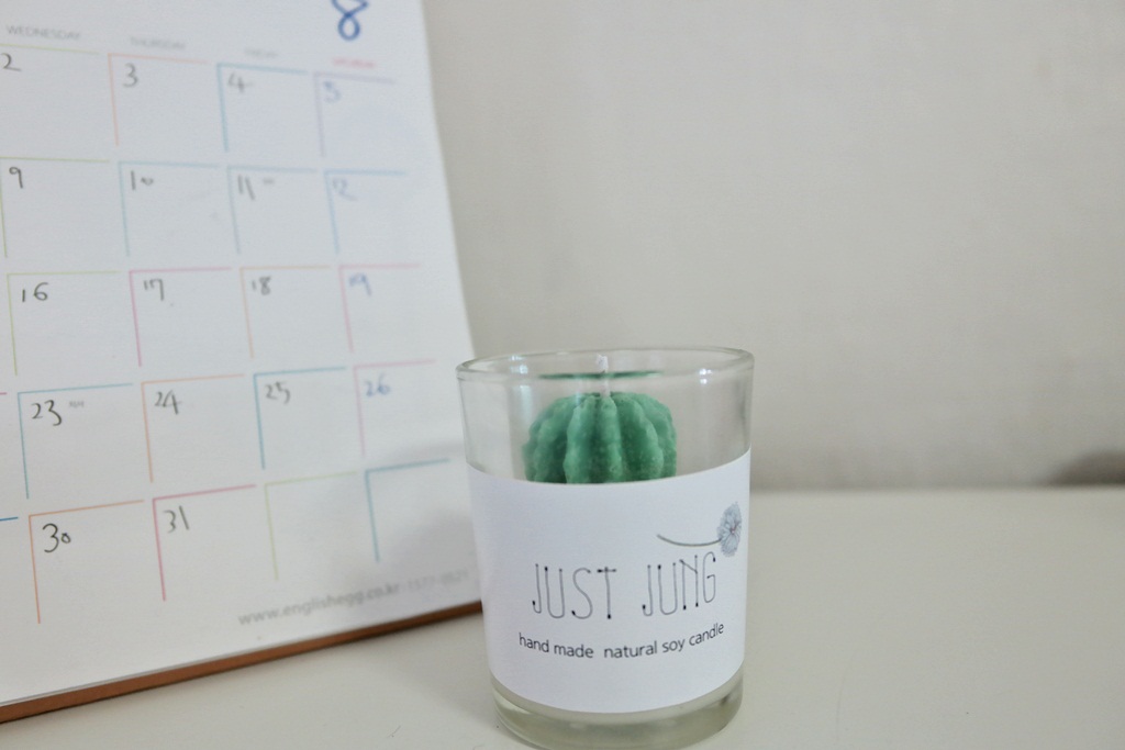 NEW CANDLE Mini Cactus Soy Candle Desk Interior Cu